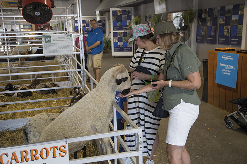Random Rippling - 2024 Indiana State Fair - part one