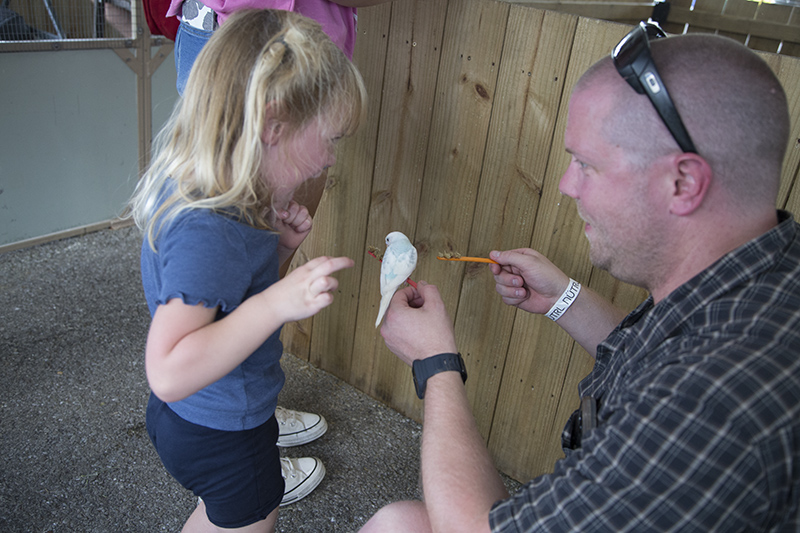 Random Rippling - 2024 Indiana State Fair - part one