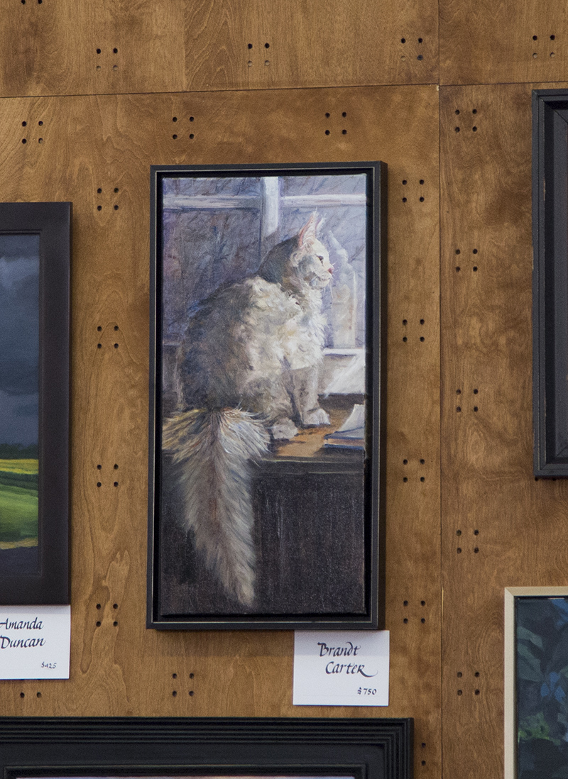 Brandt Carter's cat painting entry