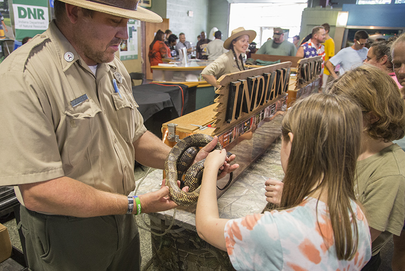 Reptiles at the DNR Building