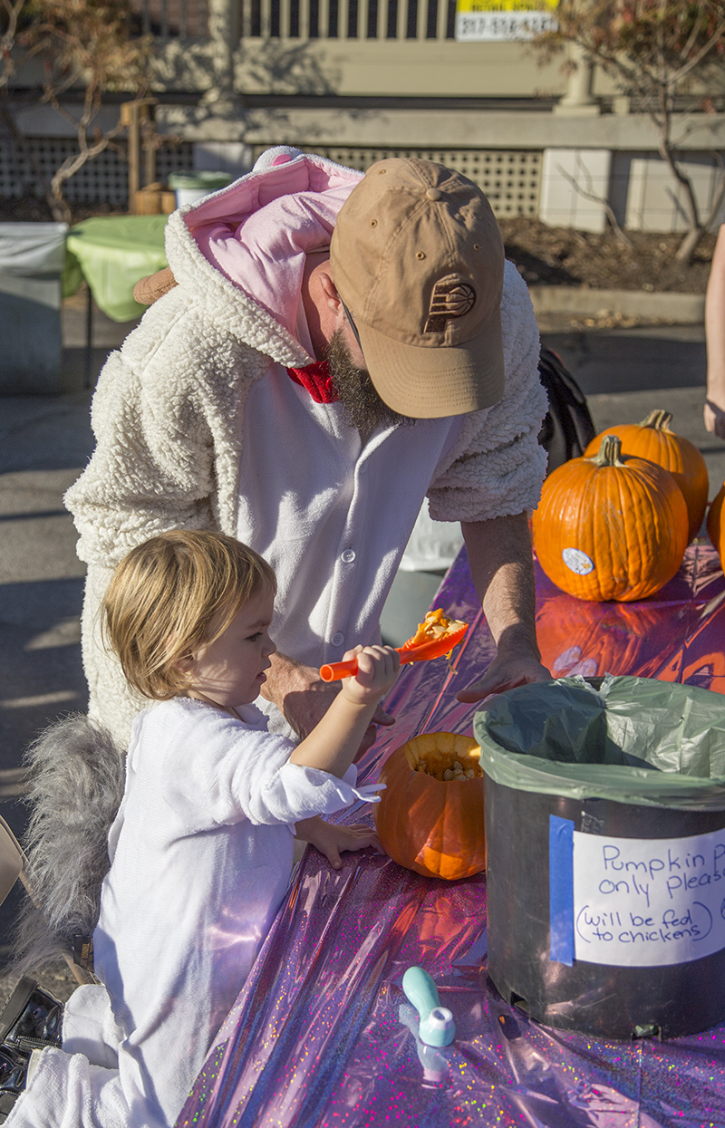 Random Rippling - Brewpub Pumpkin Contest