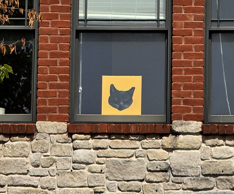 Where clue