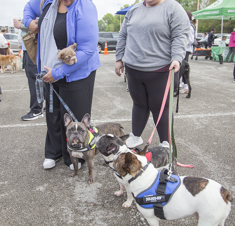 Theo, Poppy, Lola, and Benny