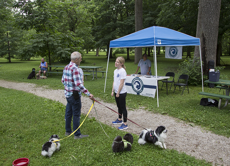 Random Rippling - ARPO Dog Olympics