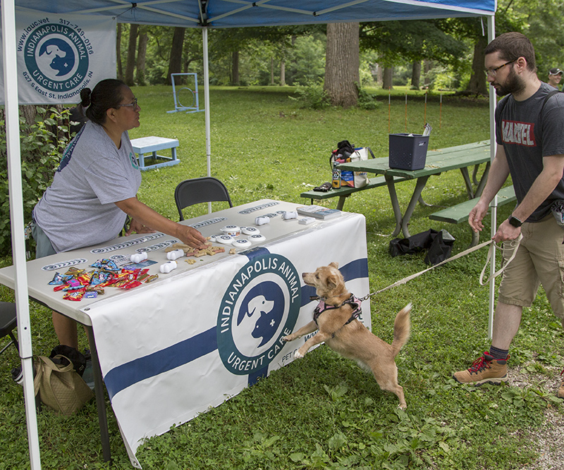 Random Rippling - ARPO Dog Olympics