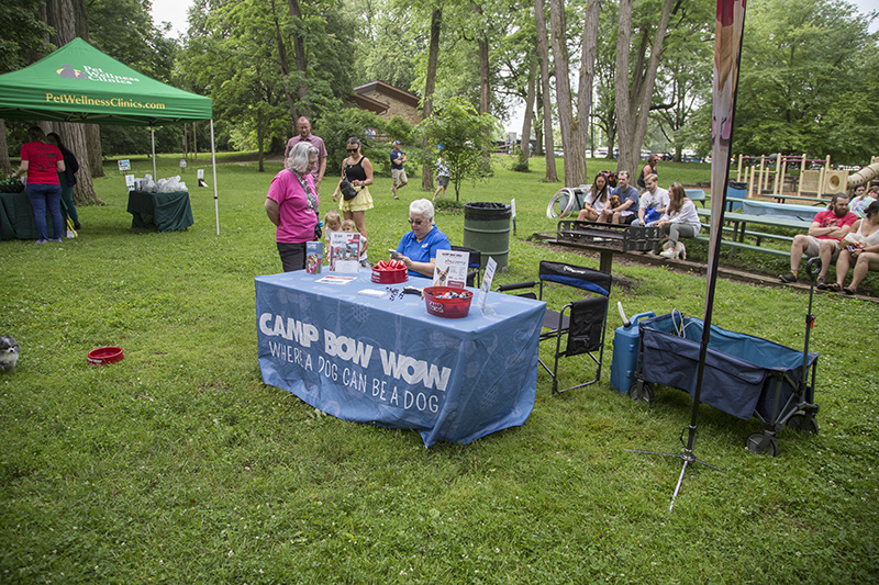 Random Rippling - ARPO Dog Olympics