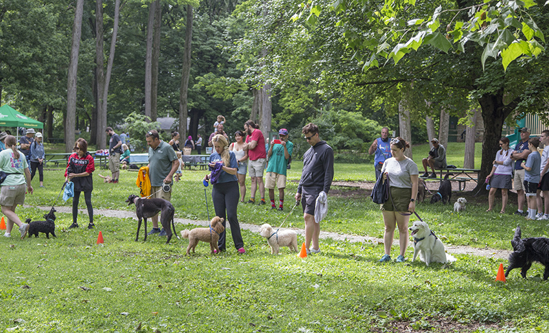 Contestants lined up for the T-Shirt Race...