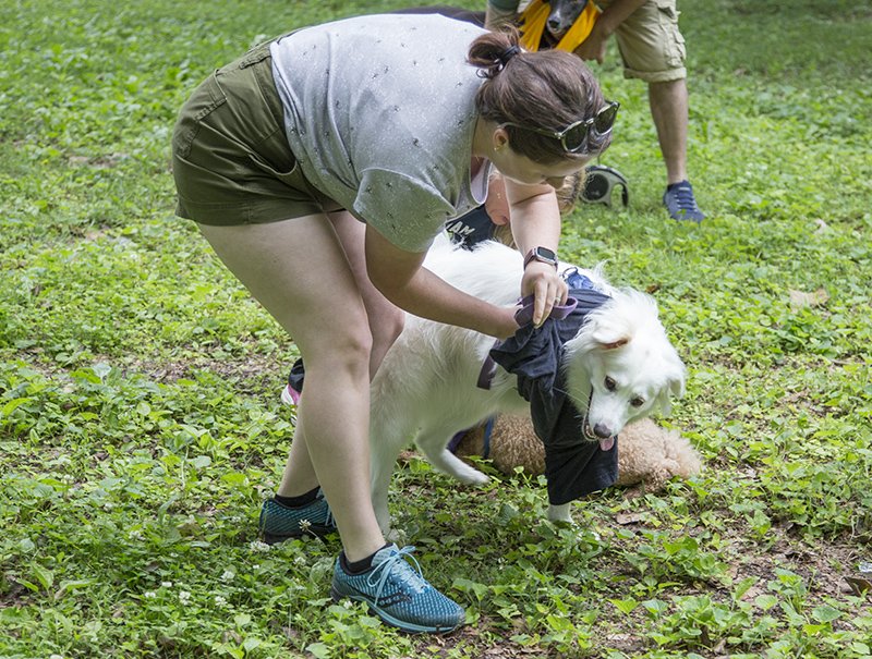 Random Rippling - ARPO Dog Olympics