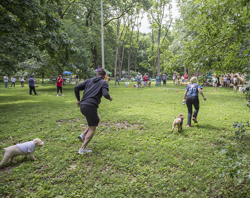 Then the race back to the start