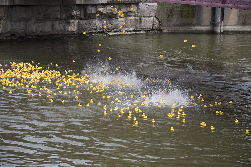 Random Rippling - Broad Ripple Duck Race