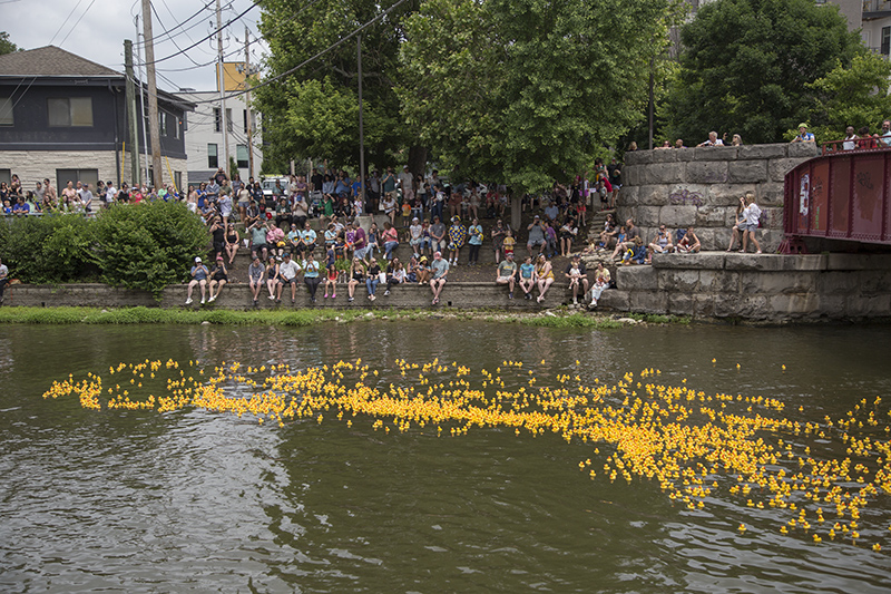Random Rippling - Broad Ripple Duck Race