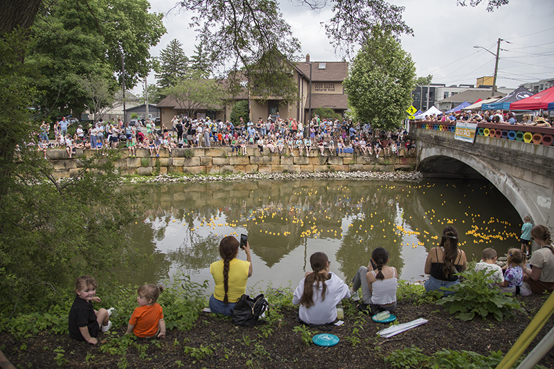 Under the Rainbow Bridge