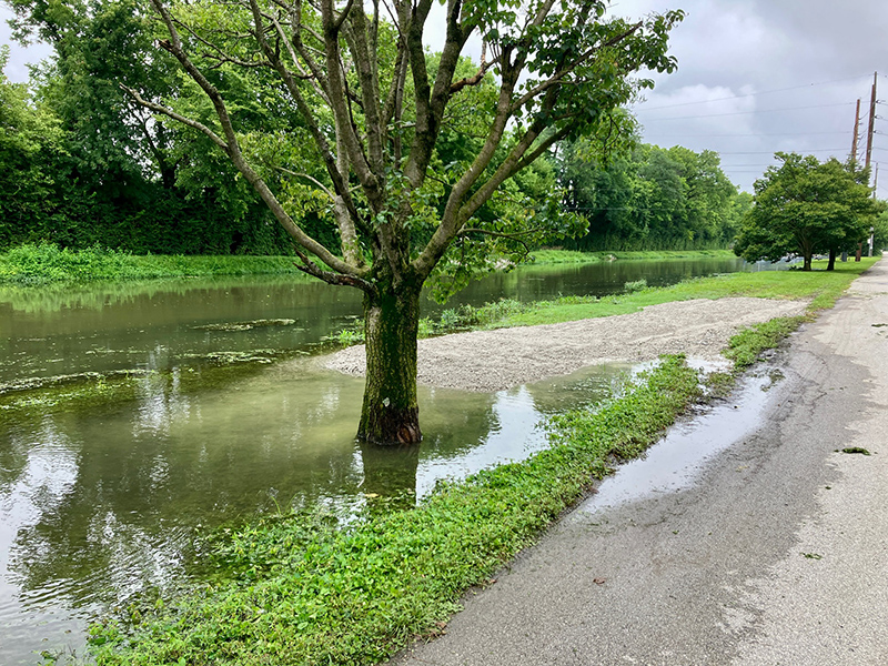 Reader Random Rippling - Canal overflow