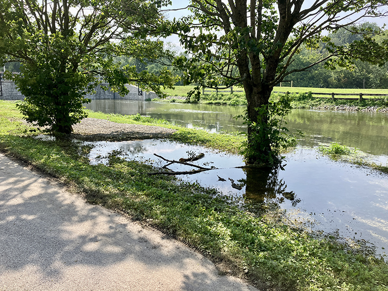 Reader Random Rippling - Canal overflow