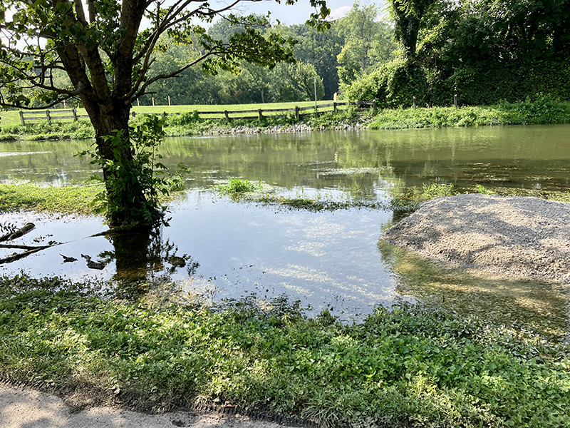Reader Random Rippling - Canal overflow