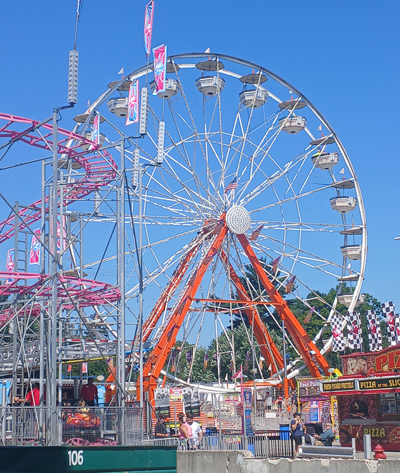 Frog's Random Rippling - Indiana State Fair coverage