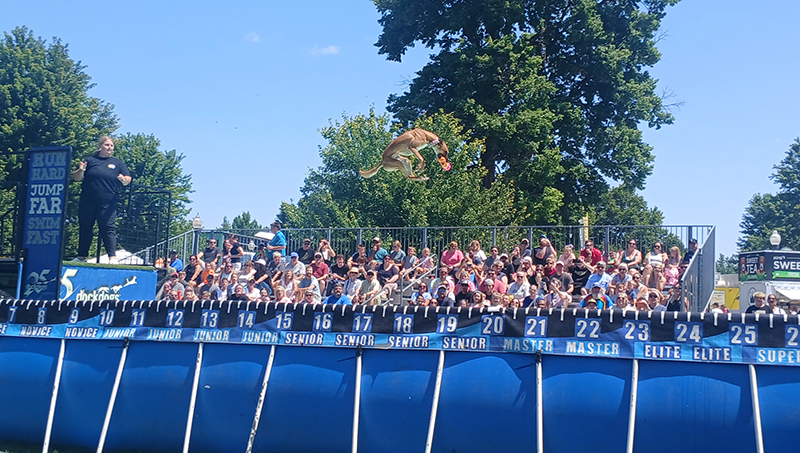DockDogs