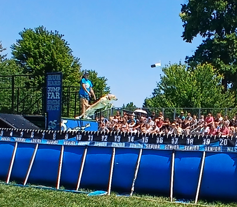 Frog's Random Rippling - Indiana State Fair coverage