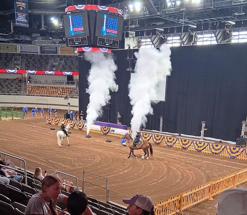 Horse show in the coliseum