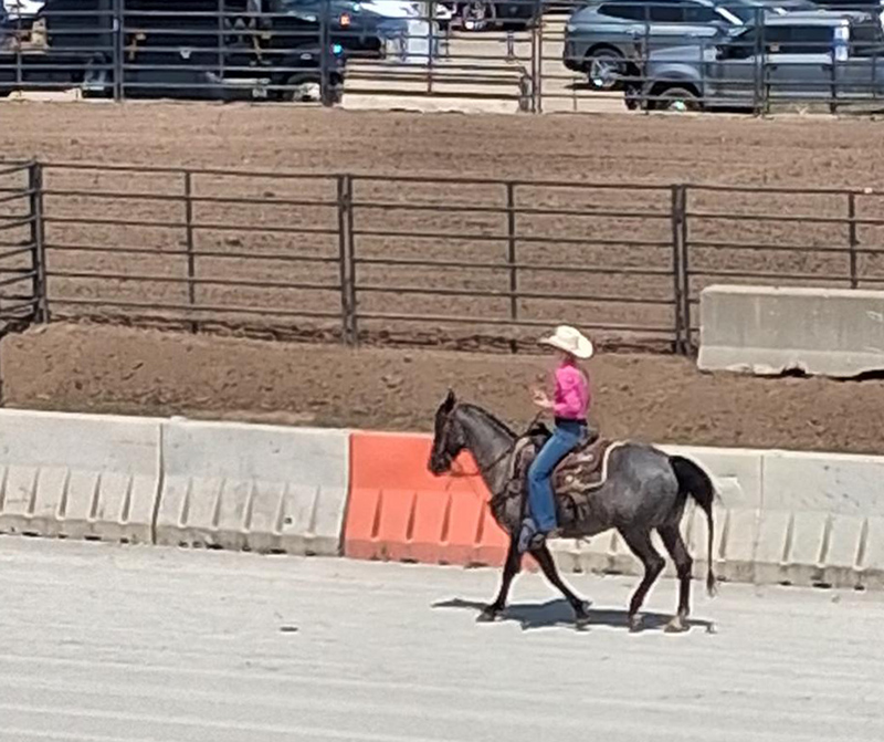 The Rodeo from the Grandstand