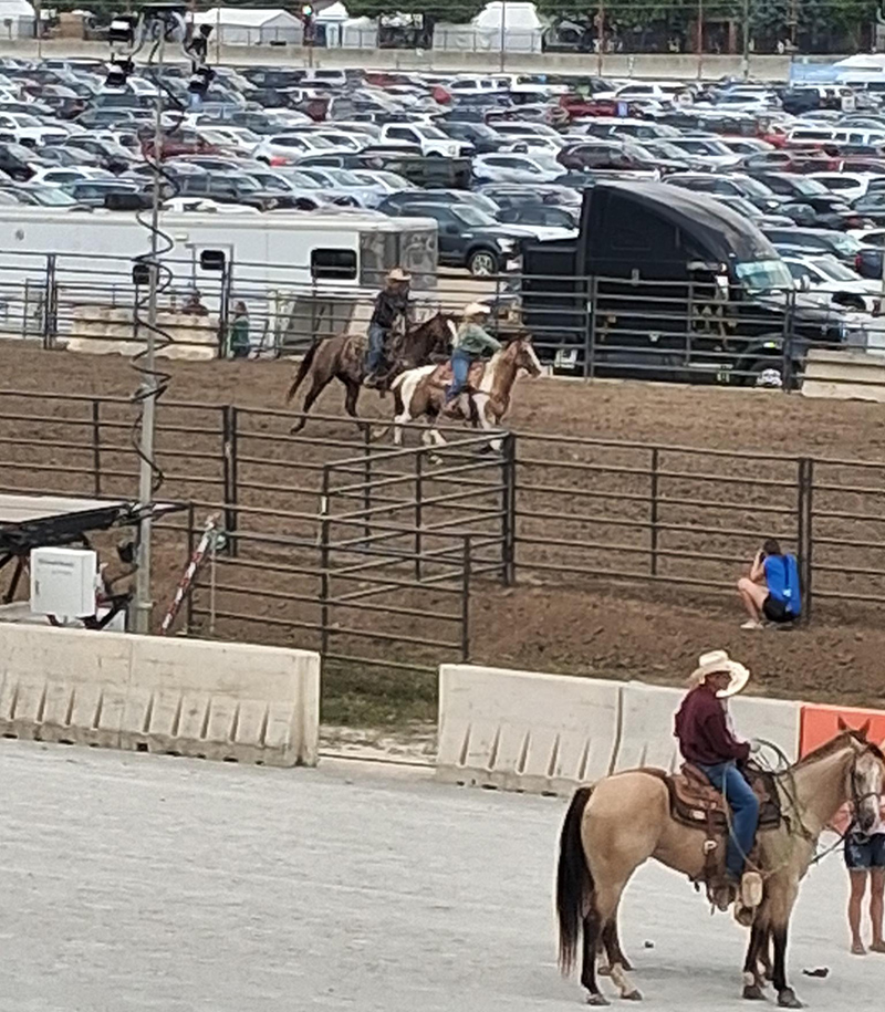 Frog's Random Rippling - Indiana State Fair coverage part 2