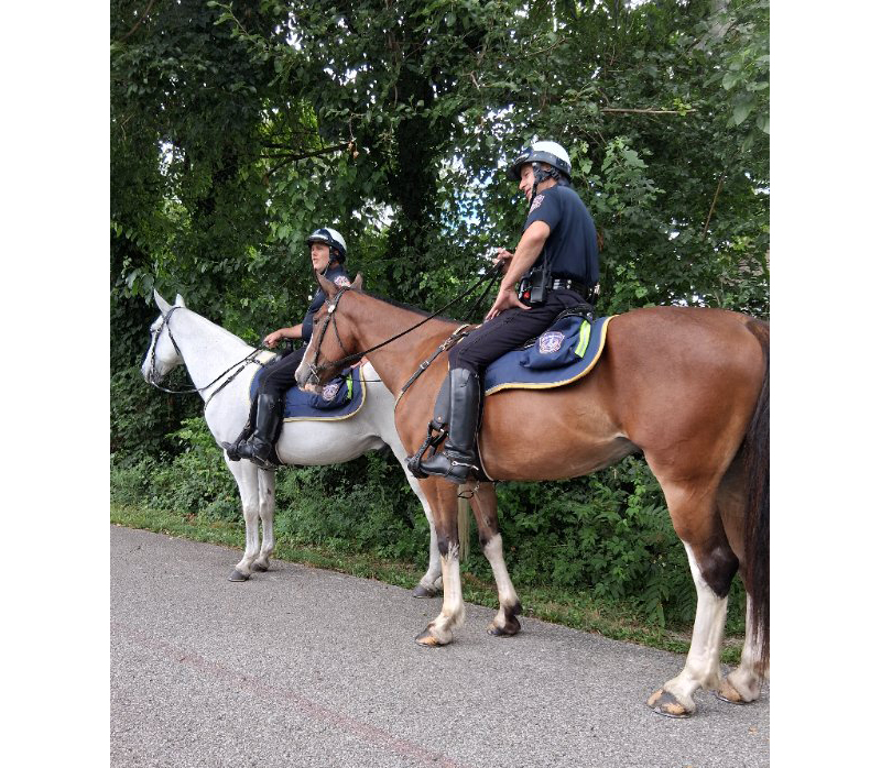 Frog's Random Rippling - IMPD Horse Patrol