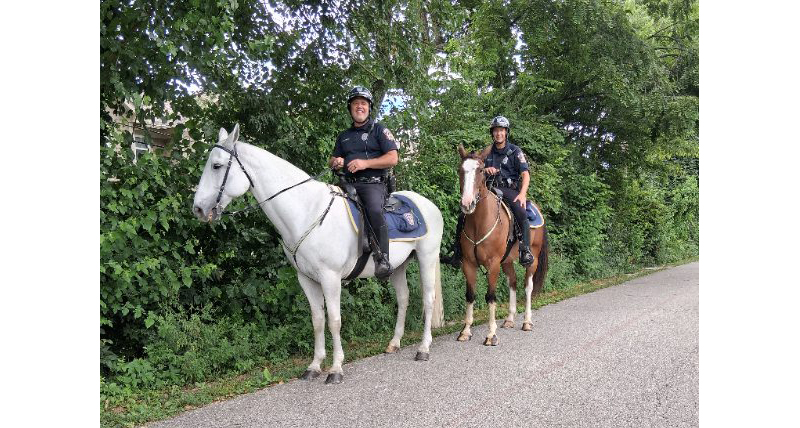 Frog's Random Rippling - IMPD Horse Patrol