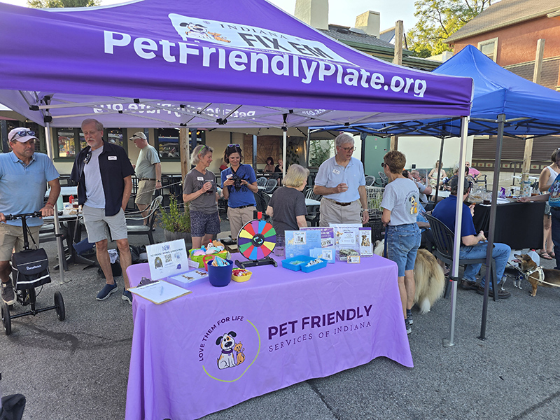 Random Rippling - Tails and Ales at the September Third Thursdays
