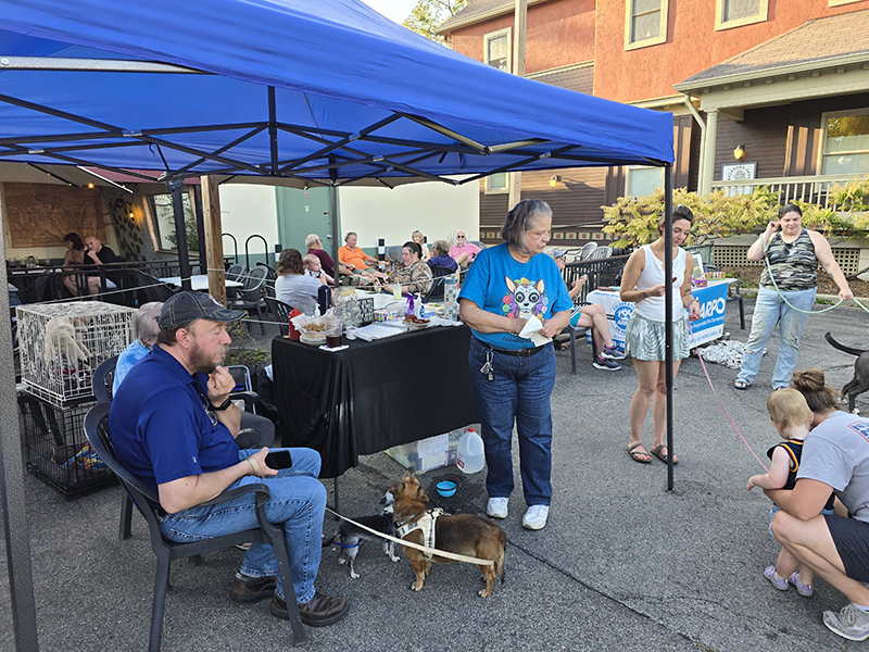 Random Rippling - Tails and Ales at the September Third Thursdays