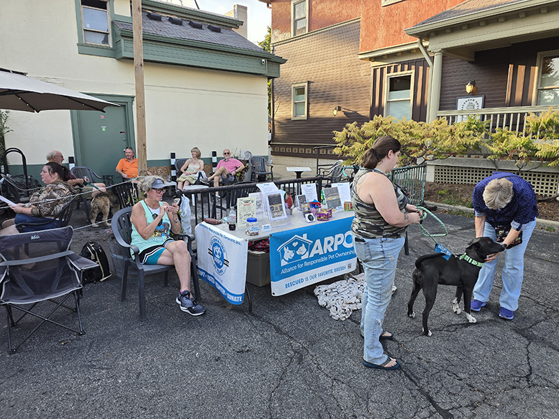 Random Rippling - Tails and Ales at the September Third Thursdays