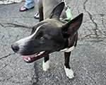 image 2025_09_18_18_40_44