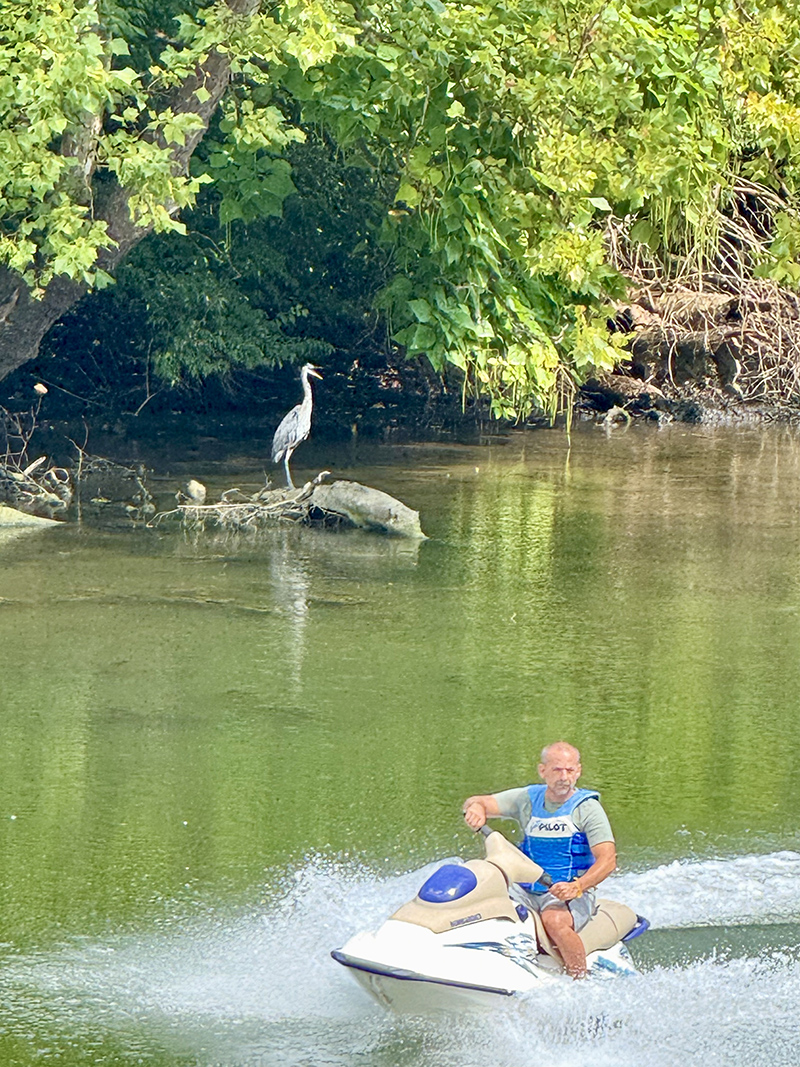 Reader Random Rippling - Fun and Nature on the River