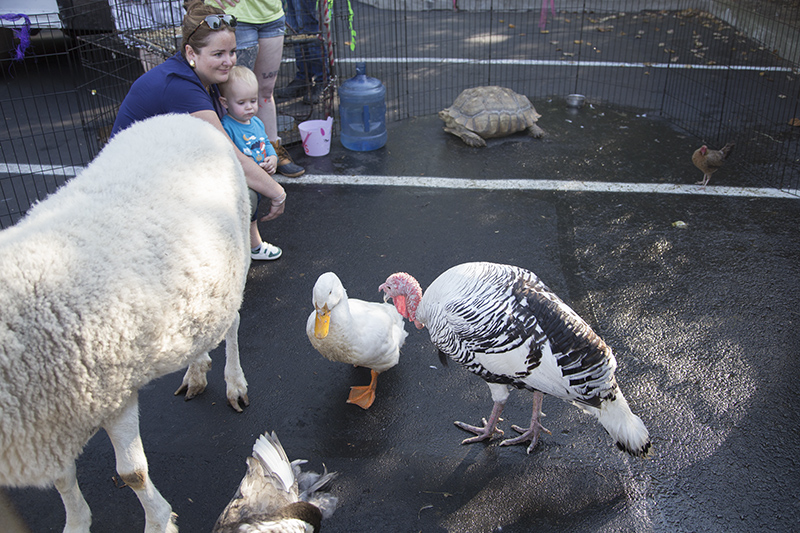 Random Rippling - Fall Fest at St. Lukes Midtown