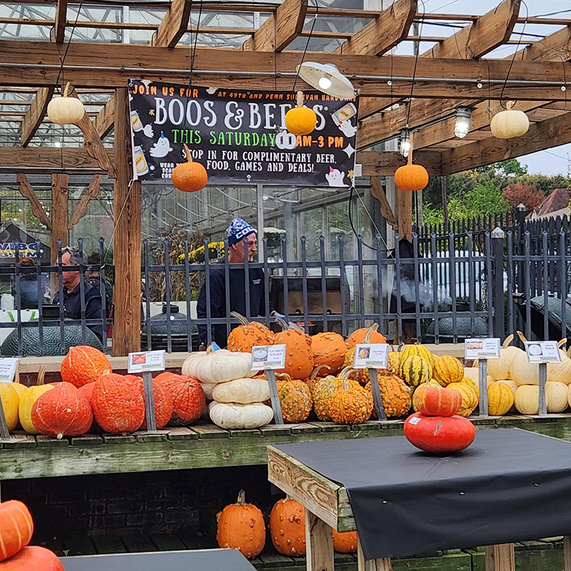 Random Rippling - Sullivan Boos and Brews