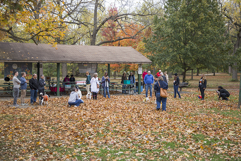 Random Rippling - BR Park Halloween Egg Dog Hunt