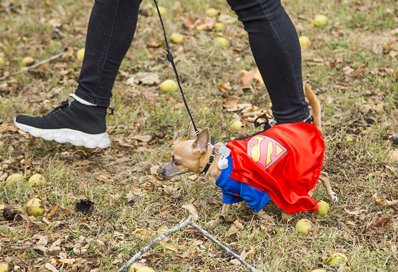 It wasn't fair to use X-Ray Vision to find the eggs!