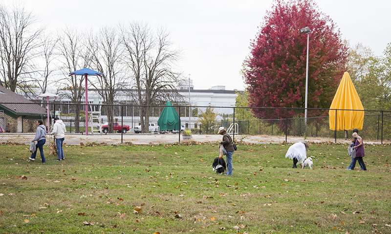 Random Rippling - BR Park Halloween Egg Dog Hunt