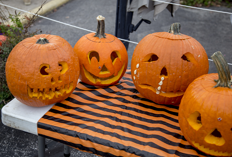 Random Rippling - BR Brewpub Pumpkin Carving