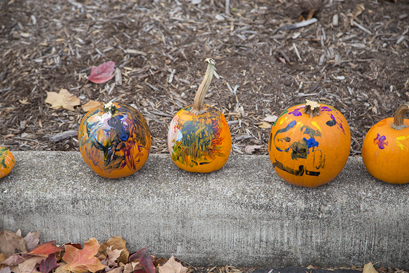 Random Rippling - NMPC Fall Fest