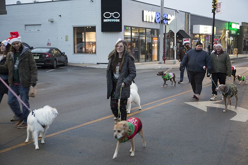 Random Rippling - Broad Ripple Lights Up