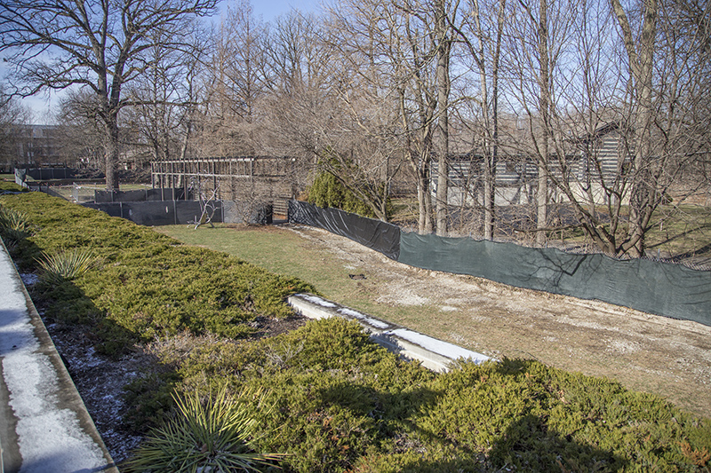 Random Rippling - IAC construction