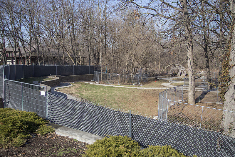 Random Rippling - IAC construction