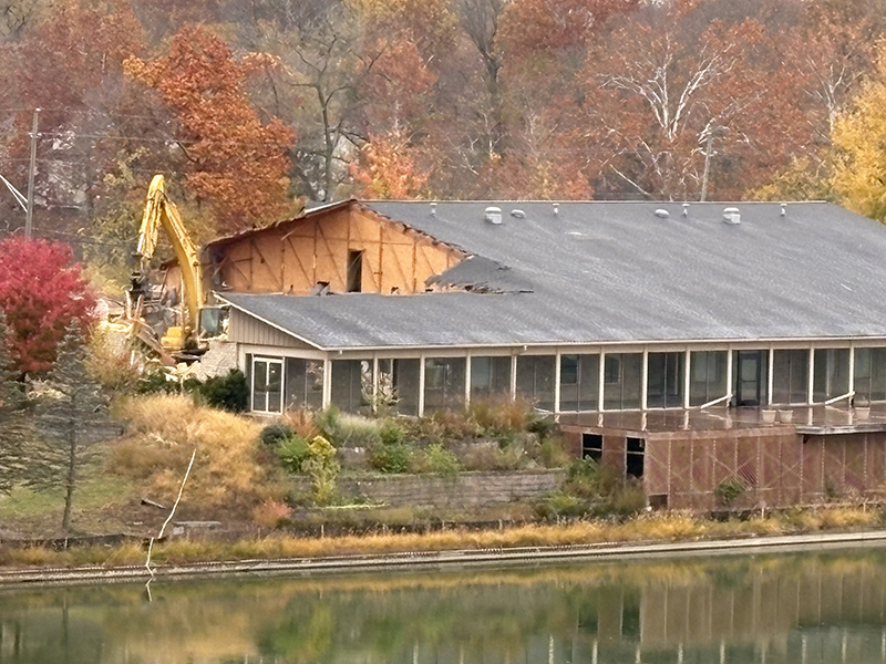 Random Rippling - The Willows Razed