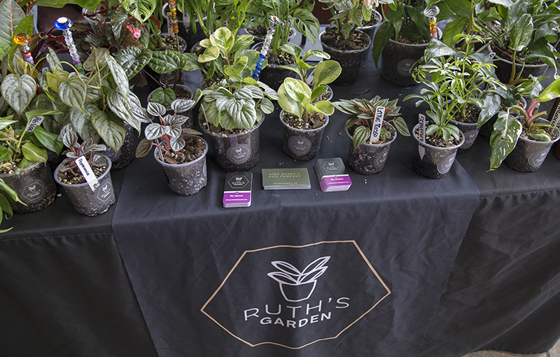 Random Rippling - Ruth's Garden Popup at Mariam Coffee