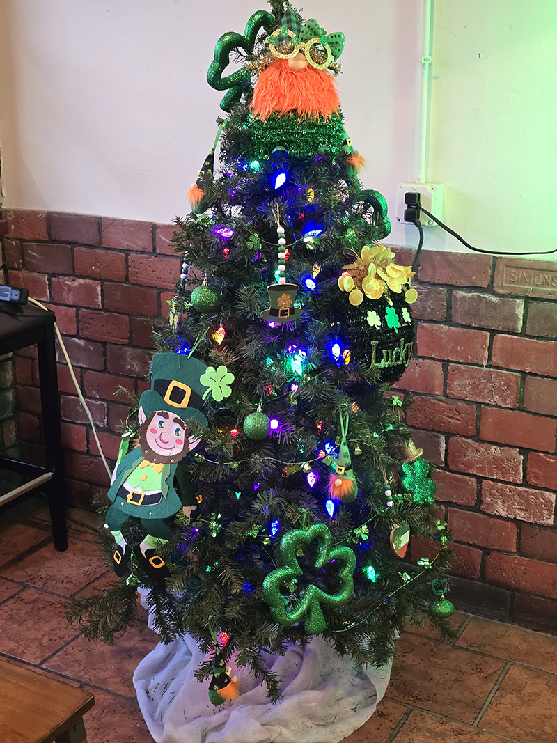 Random Rippling - Irish Whiskey Tasting at the Alley Cat