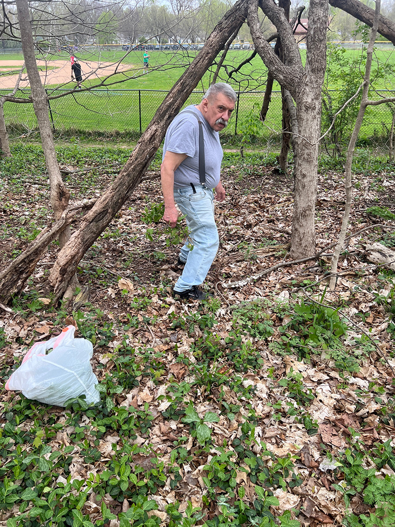 Reader Random Rippling - Garlic mustard invasion of Broad Ripple Park woods halted by volunteers