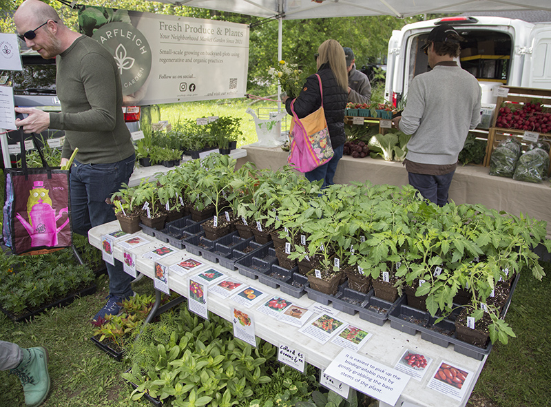 Random Rippling - SoBro Farmers Market open for 2026 Summer Season
