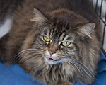 image 9860