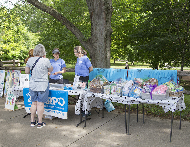 The silent auction