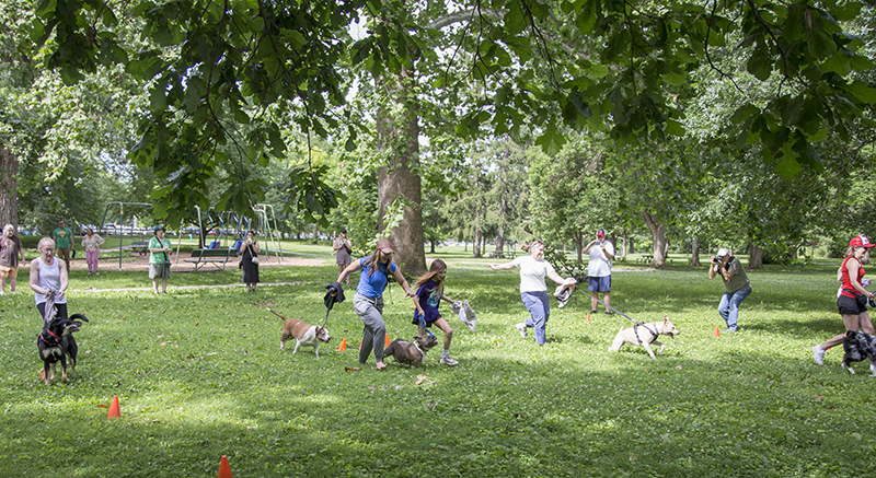 Random Rippling - Dog Olympics